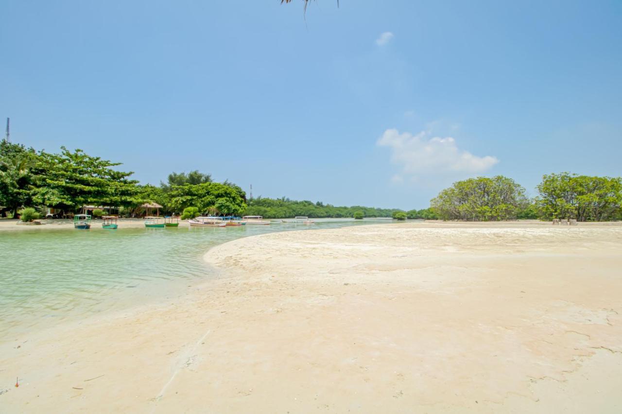 Guerilla Dive Lodge Pulau Pari Jakarta Exteriör bild