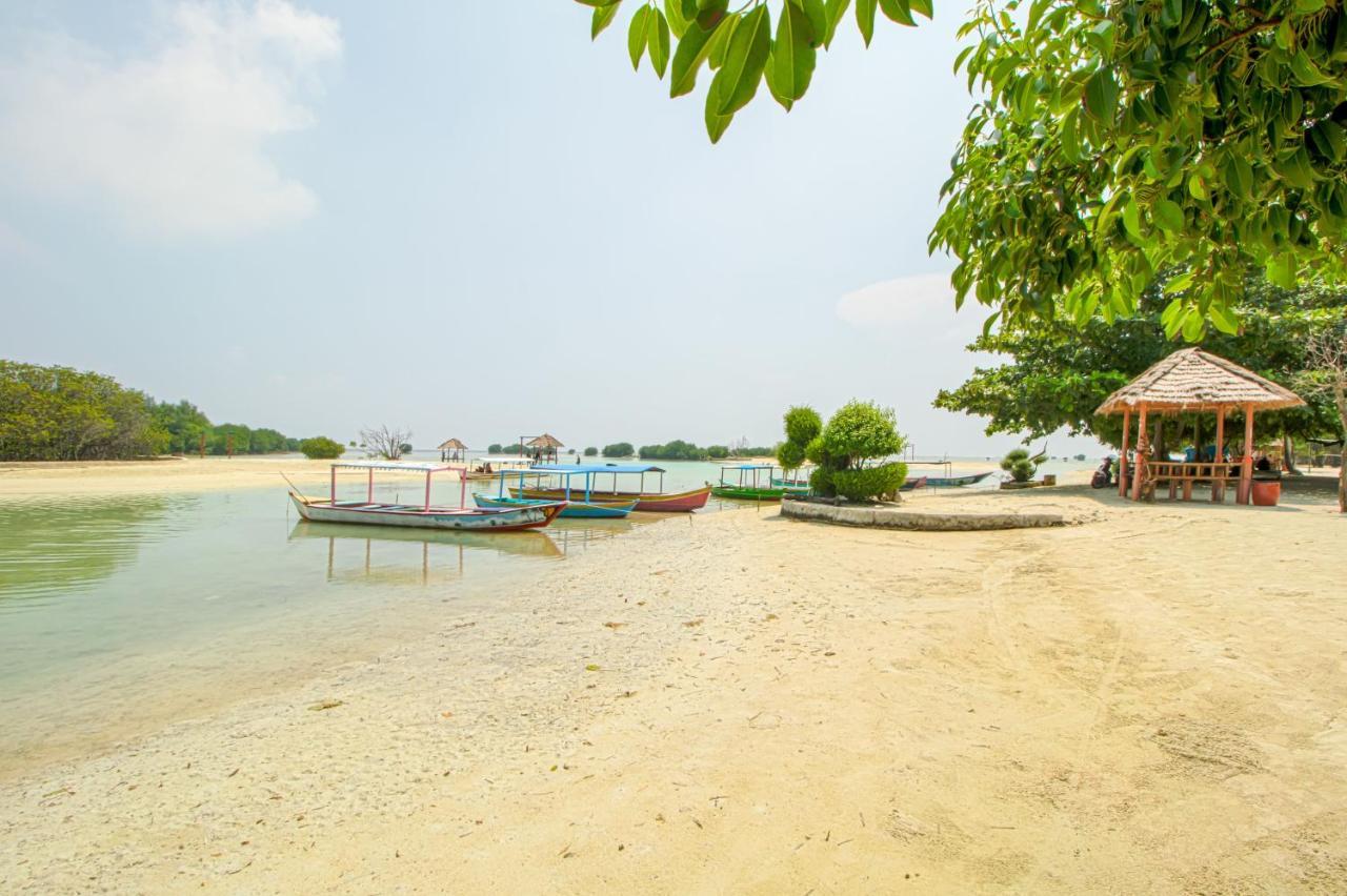 Guerilla Dive Lodge Pulau Pari Jakarta Exteriör bild